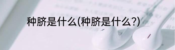 种脐是什么(种脐是什么?)