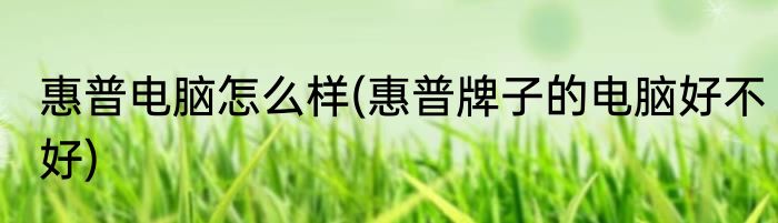 惠普电脑怎么样(惠普牌子的电脑好不好)