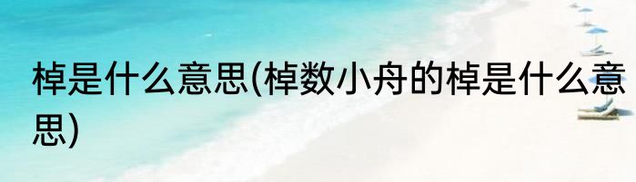 棹是什么意思(棹数小舟的棹是什么意思)