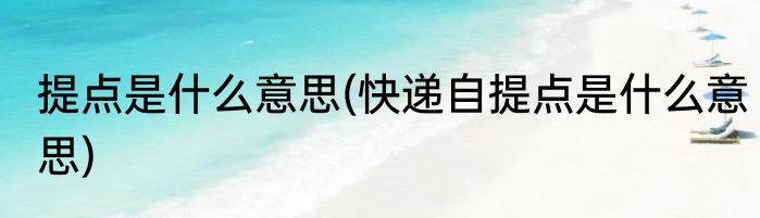 提点是什么意思(快递自提点是什么意思)