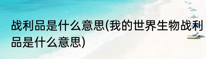 战利品是什么意思(我的世界生物战利品是什么意思)