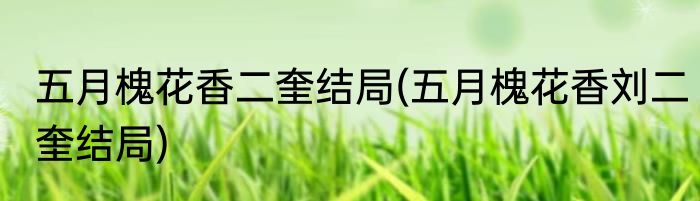 五月槐花香二奎结局(五月槐花香刘二奎结局)