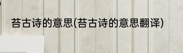苔古诗的意思(苔古诗的意思翻译)