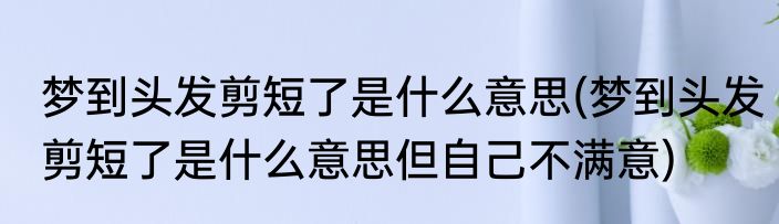 梦到头发剪短了是什么意思(梦到头发剪短了是什么意思但自己不满意)