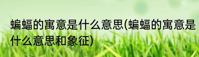 蝙蝠的寓意是什么意思(蝙蝠的寓意是什么意思和象征)