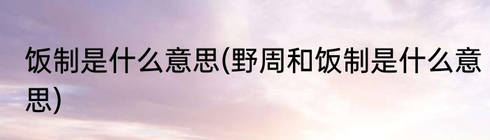 饭制是什么意思(野周和饭制是什么意思)