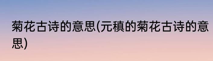 菊花古诗的意思(元稹的菊花古诗的意思)