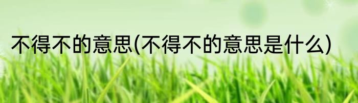 不得不的意思(不得不的意思是什么)