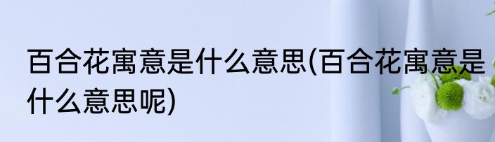 百合花寓意是什么意思(百合花寓意是什么意思呢)