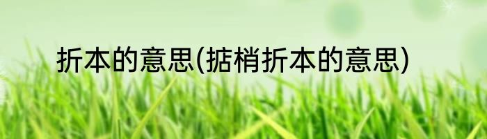 折本的意思(掂梢折本的意思)