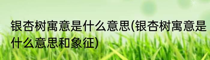 银杏树寓意是什么意思(银杏树寓意是什么意思和象征)