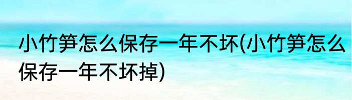 小竹笋怎么保存一年不坏(小竹笋怎么保存一年不坏掉)