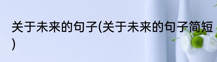 关于未来的句子(关于未来的句子简短)