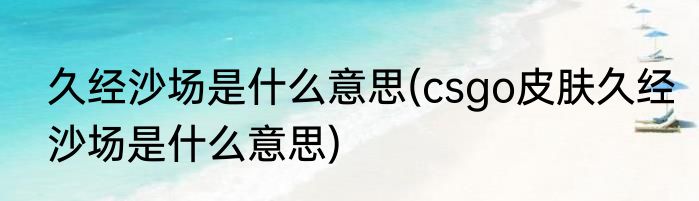 久经沙场是什么意思(csgo皮肤久经沙场是什么意思)