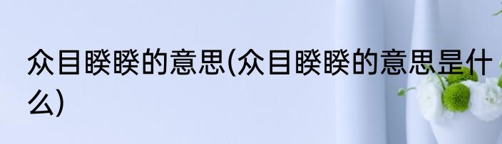众目睽睽的意思(众目睽睽的意思昰什么)