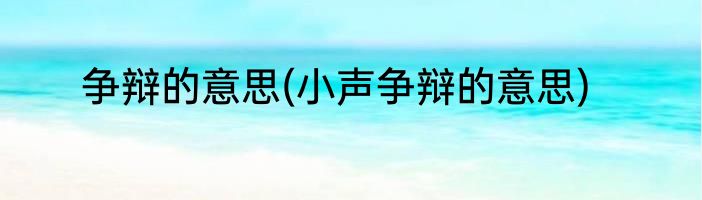 争辩的意思(小声争辩的意思)