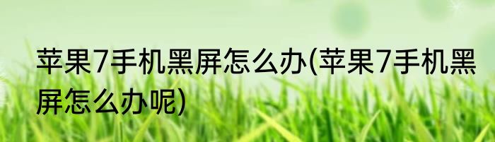 苹果7手机黑屏怎么办(苹果7手机黑屏怎么办呢)
