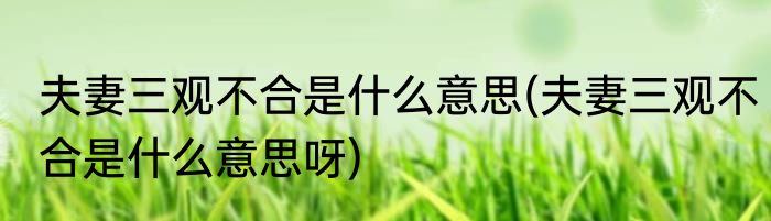 夫妻三观不合是什么意思(夫妻三观不合是什么意思呀)