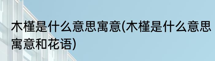 木槿是什么意思寓意(木槿是什么意思寓意和花语)