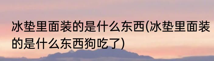 冰垫里面装的是什么东西(冰垫里面装的是什么东西狗吃了)