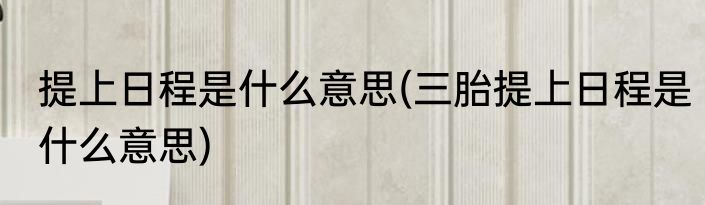 提上日程是什么意思(三胎提上日程是什么意思)