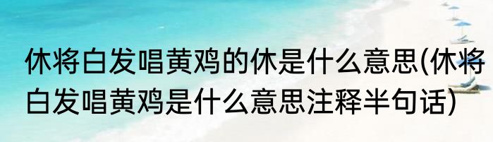 休将白发唱黄鸡的休是什么意思(休将白发唱黄鸡是什么意思注释半句话)