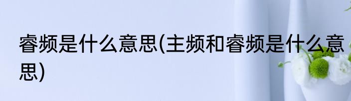 睿频是什么意思(主频和睿频是什么意思)
