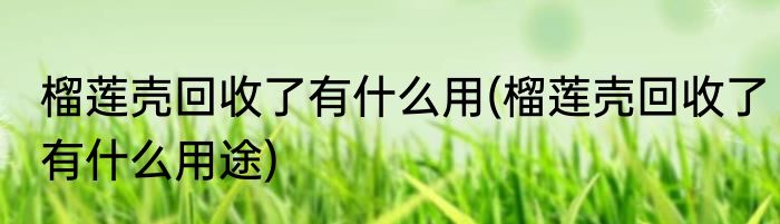 榴莲壳回收了有什么用(榴莲壳回收了有什么用途)