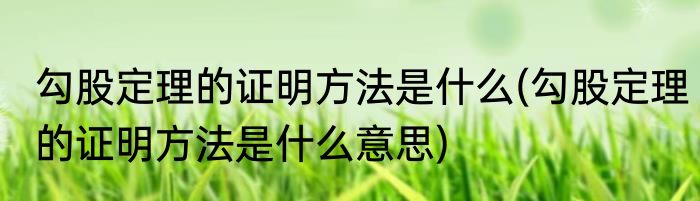 勾股定理的证明方法是什么(勾股定理的证明方法是什么意思)