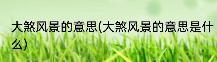 大煞风景的意思(大煞风景的意思是什么)