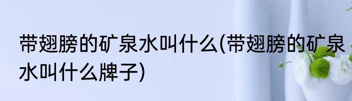 带翅膀的矿泉水叫什么(带翅膀的矿泉水叫什么牌子)