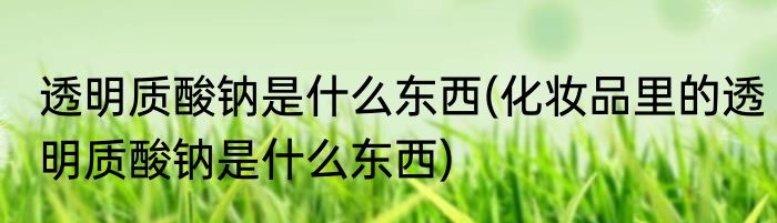 透明质酸钠是什么东西(化妆品里的透明质酸钠是什么东西)
