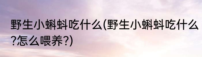 野生小蝌蚪吃什么(野生小蝌蚪吃什么?怎么喂养?)