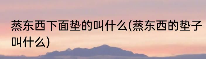 蒸东西下面垫的叫什么(蒸东西的垫子叫什么)