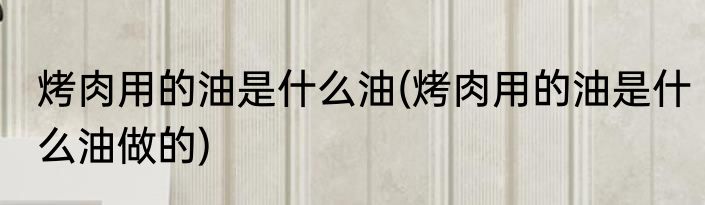 烤肉用的油是什么油(烤肉用的油是什么油做的)