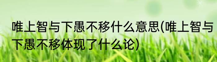 唯上智与下愚不移什么意思(唯上智与下愚不移体现了什么论)