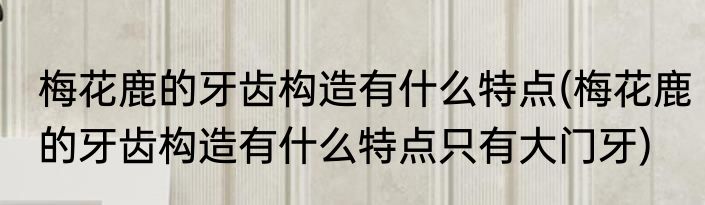 梅花鹿的牙齿构造有什么特点(梅花鹿的牙齿构造有什么特点只有大门牙)