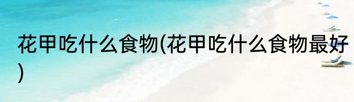 花甲吃什么食物(花甲吃什么食物最好)