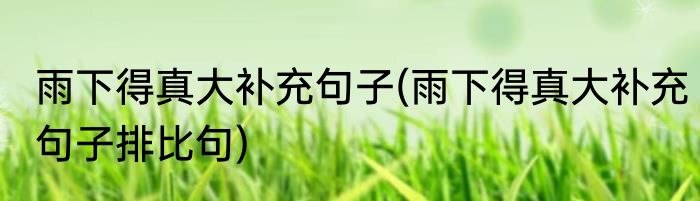 雨下得真大补充句子(雨下得真大补充句子排比句)