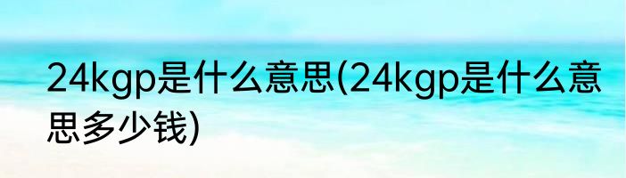 24kgp是什么意思(24kgp是什么意思多少钱)