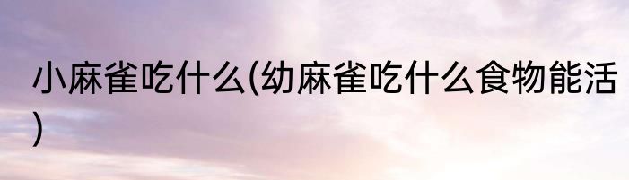 小麻雀吃什么(幼麻雀吃什么食物能活)