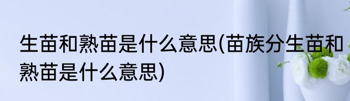 生苗和熟苗是什么意思(苗族分生苗和熟苗是什么意思)