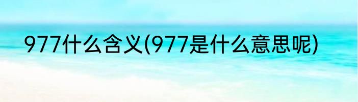 977什么含义(977是什么意思呢)