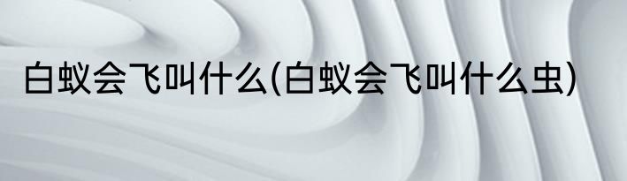 白蚁会飞叫什么(白蚁会飞叫什么虫)