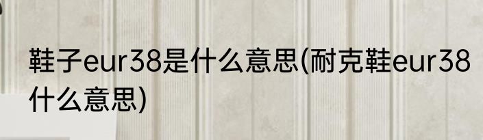 鞋子eur38是什么意思(耐克鞋eur38什么意思)