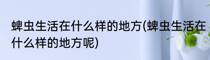 蜱虫生活在什么样的地方(蜱虫生活在什么样的地方呢)