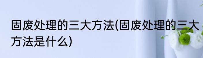 固废处理的三大方法(固废处理的三大方法是什么)