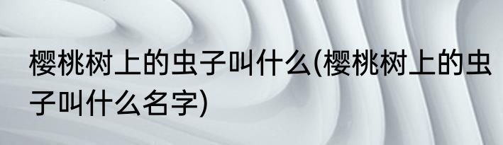 樱桃树上的虫子叫什么(樱桃树上的虫子叫什么名字)