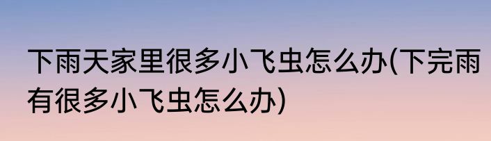下雨天家里很多小飞虫怎么办(下完雨有很多小飞虫怎么办)