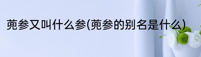 蔸参又叫什么参(蔸参的别名是什么)